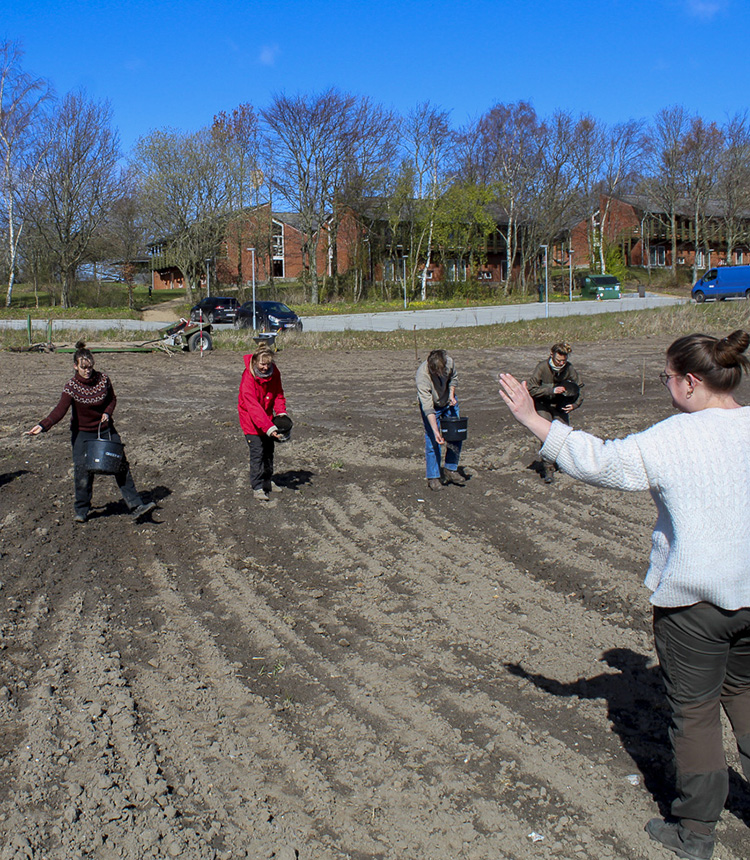 vildmarken_livet_14